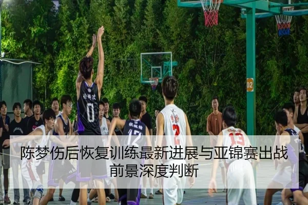 陈梦伤后恢复训练最新进展与亚锦赛出战前景深度判断
